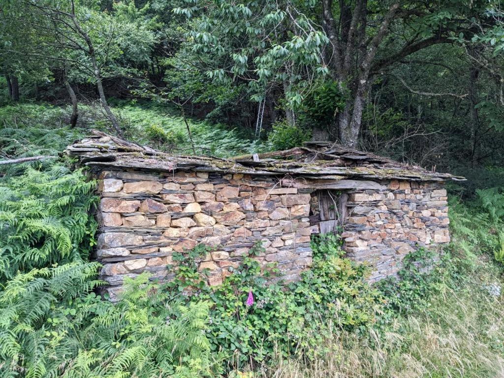 Ahio San Martin, Apartamentos Rurales Casa De La Villa San Martin de Oscos エクステリア 写真