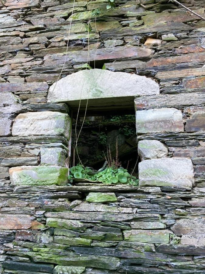 Ahio San Martin, Apartamentos Rurales Casa De La Villa San Martin de Oscos エクステリア 写真
