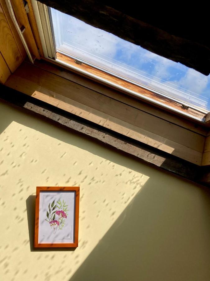 Ahio San Martin, Apartamentos Rurales Casa De La Villa San Martin de Oscos エクステリア 写真