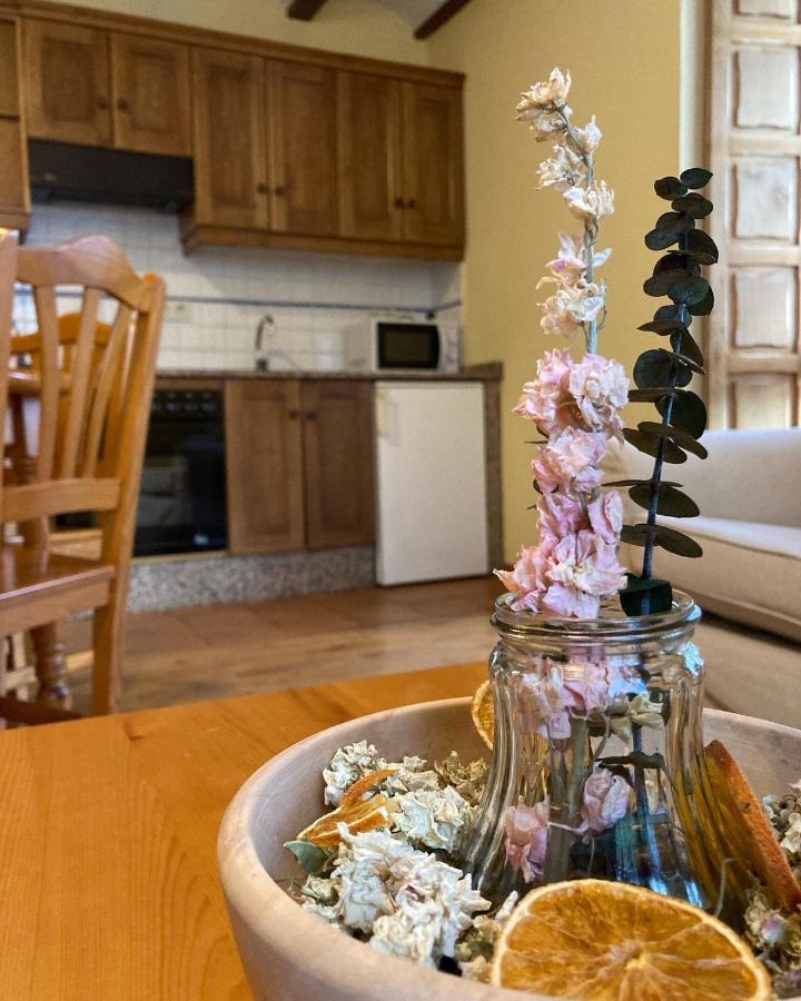 Ahio San Martin, Apartamentos Rurales Casa De La Villa San Martin de Oscos エクステリア 写真