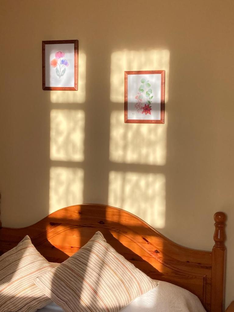 Ahio San Martin, Apartamentos Rurales Casa De La Villa San Martin de Oscos エクステリア 写真